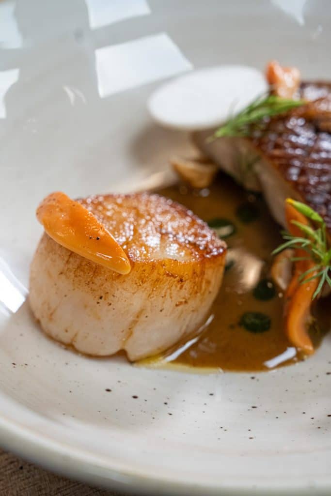 photo culinaire coquille saint jacques