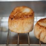 photo culinaire noix de saint jacques