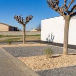 photo d'un aménagement paysager avec des arbres