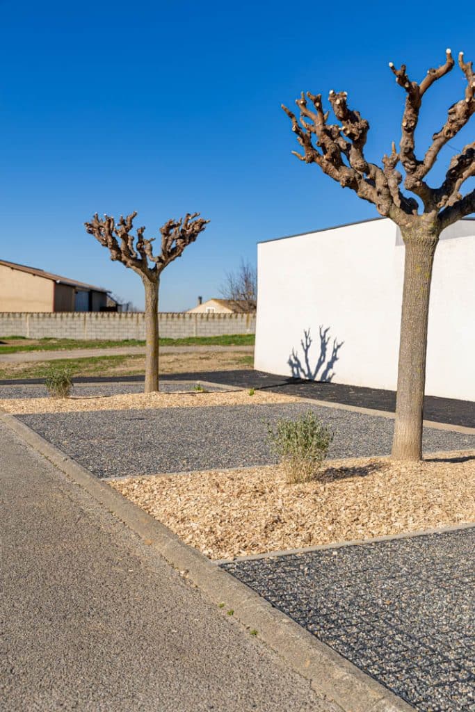 photo d'un aménagement paysager avec des arbres