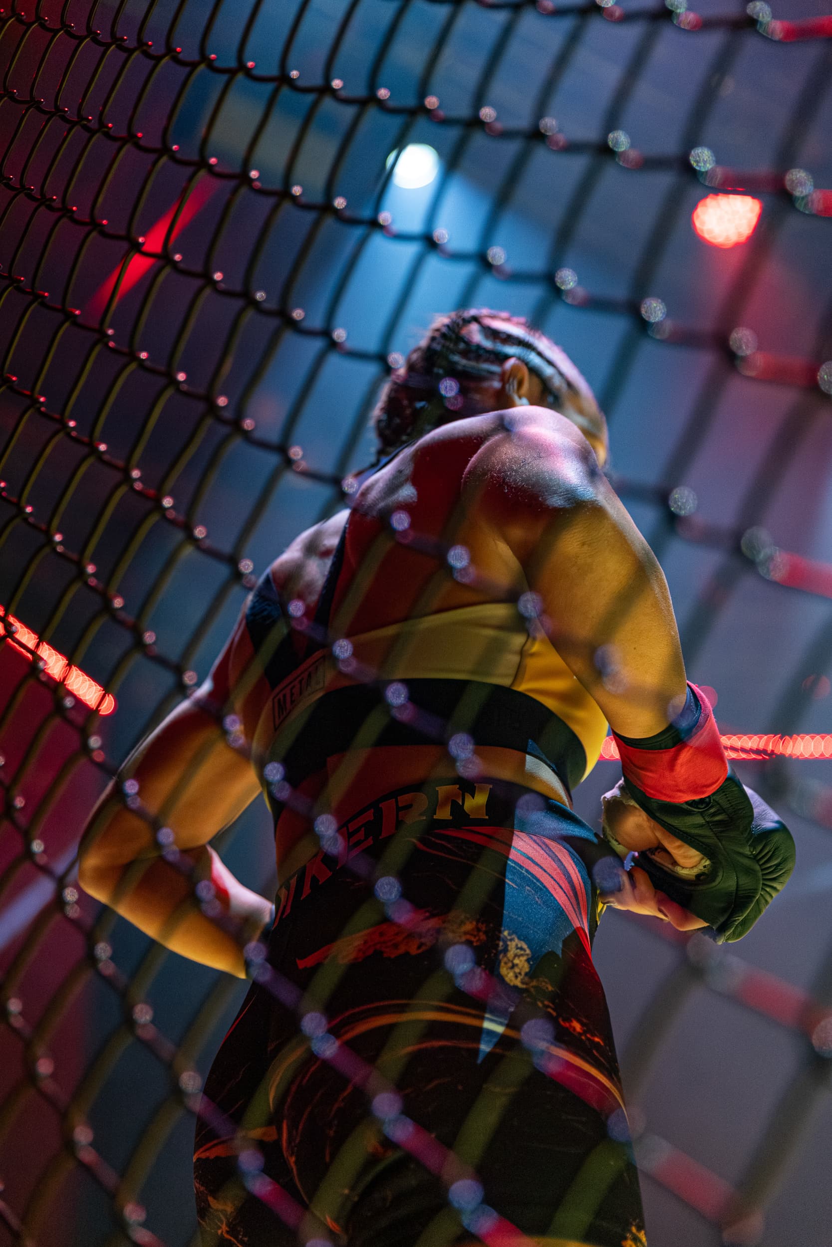 photographie sport mma dynamite mma IV arena sud de franc Montpellier Qapture