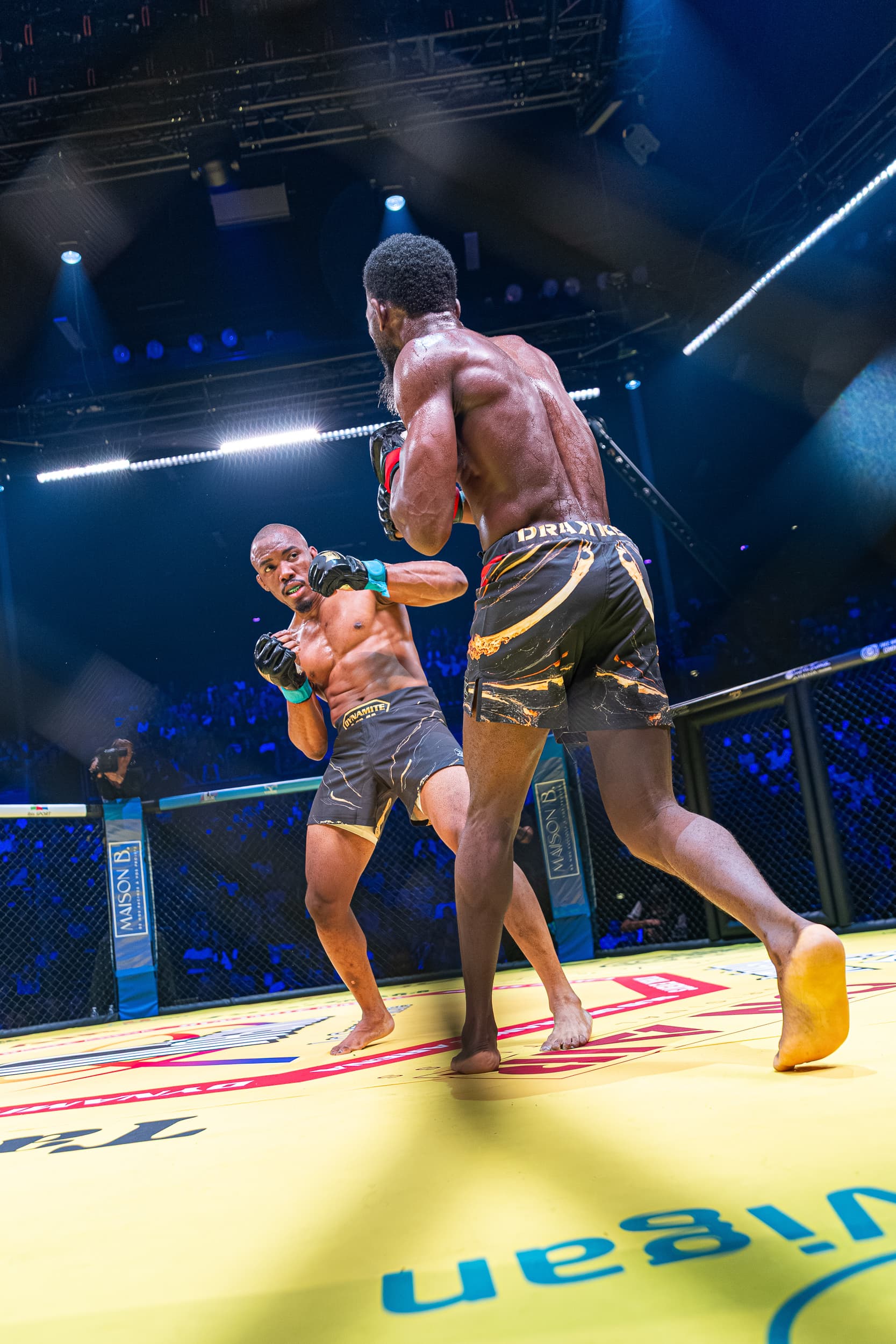 photographie sport mma dynamite mma IV arena sud de franc Montpellier Qapture