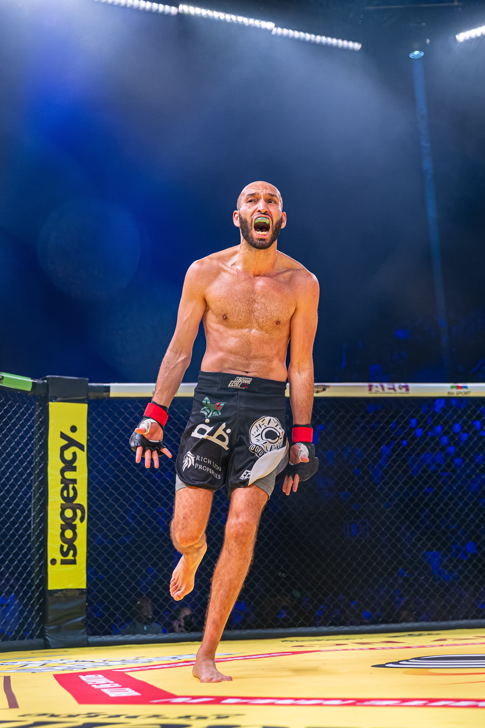photographie sport mma dynamite mma IV arena sud de franc Montpellier Qapture
