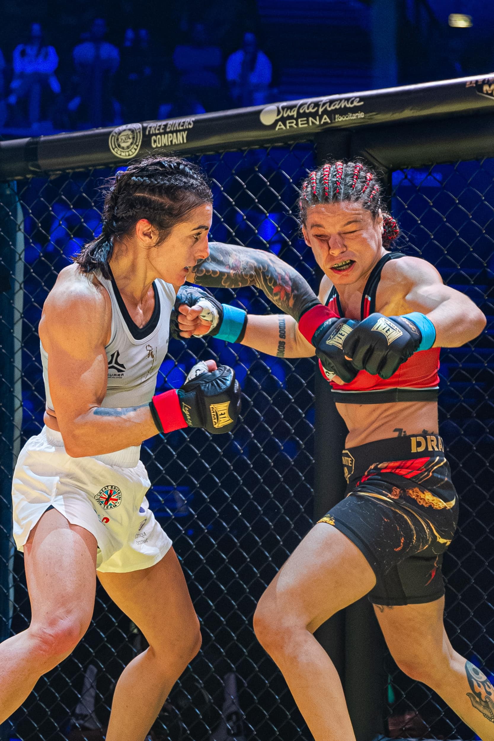 photographie sport mma dynamite mma IV arena sud de franc Montpellier Qapture