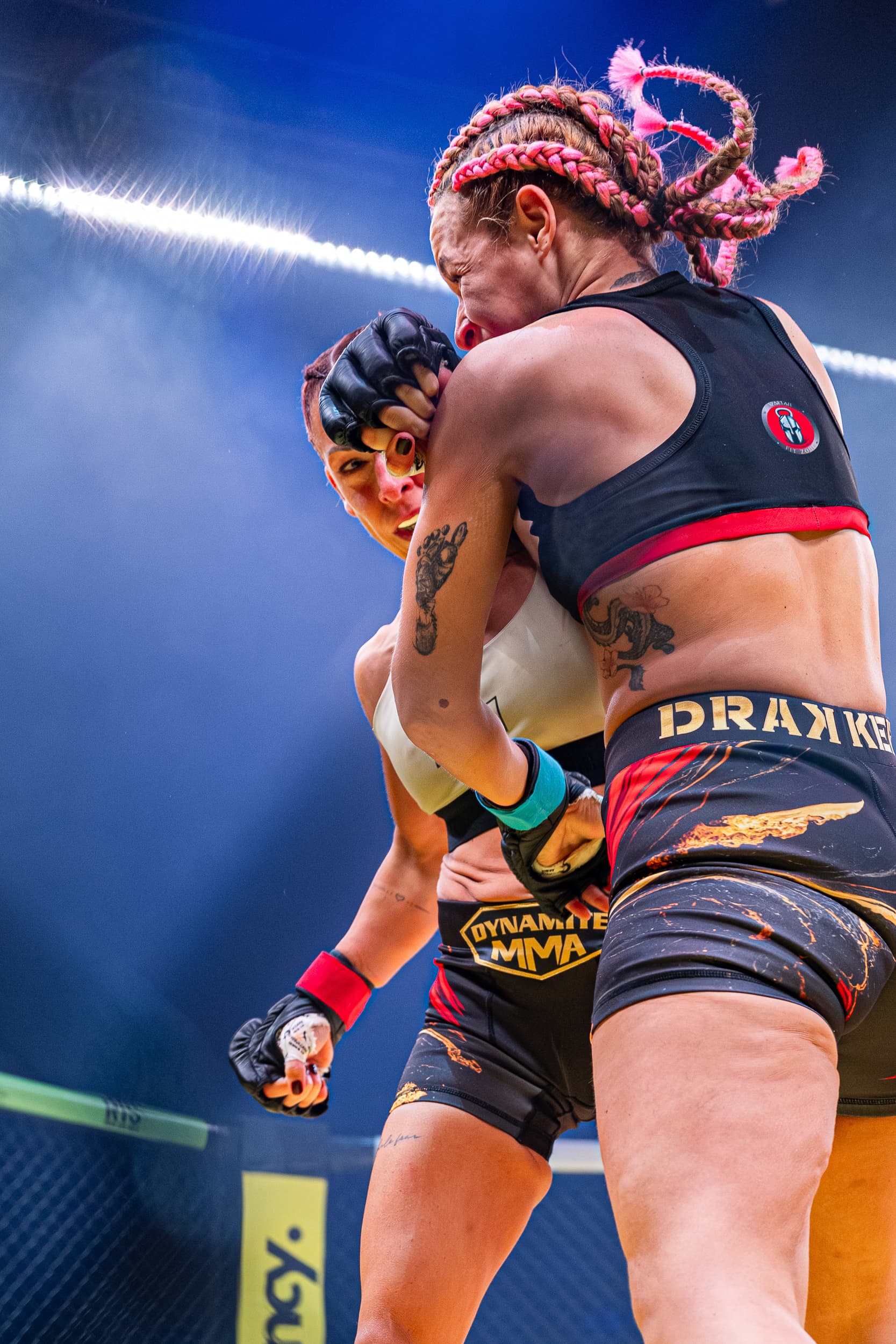 photographie sport mma dynamite mma IV arena sud de franc Montpellier Qapture