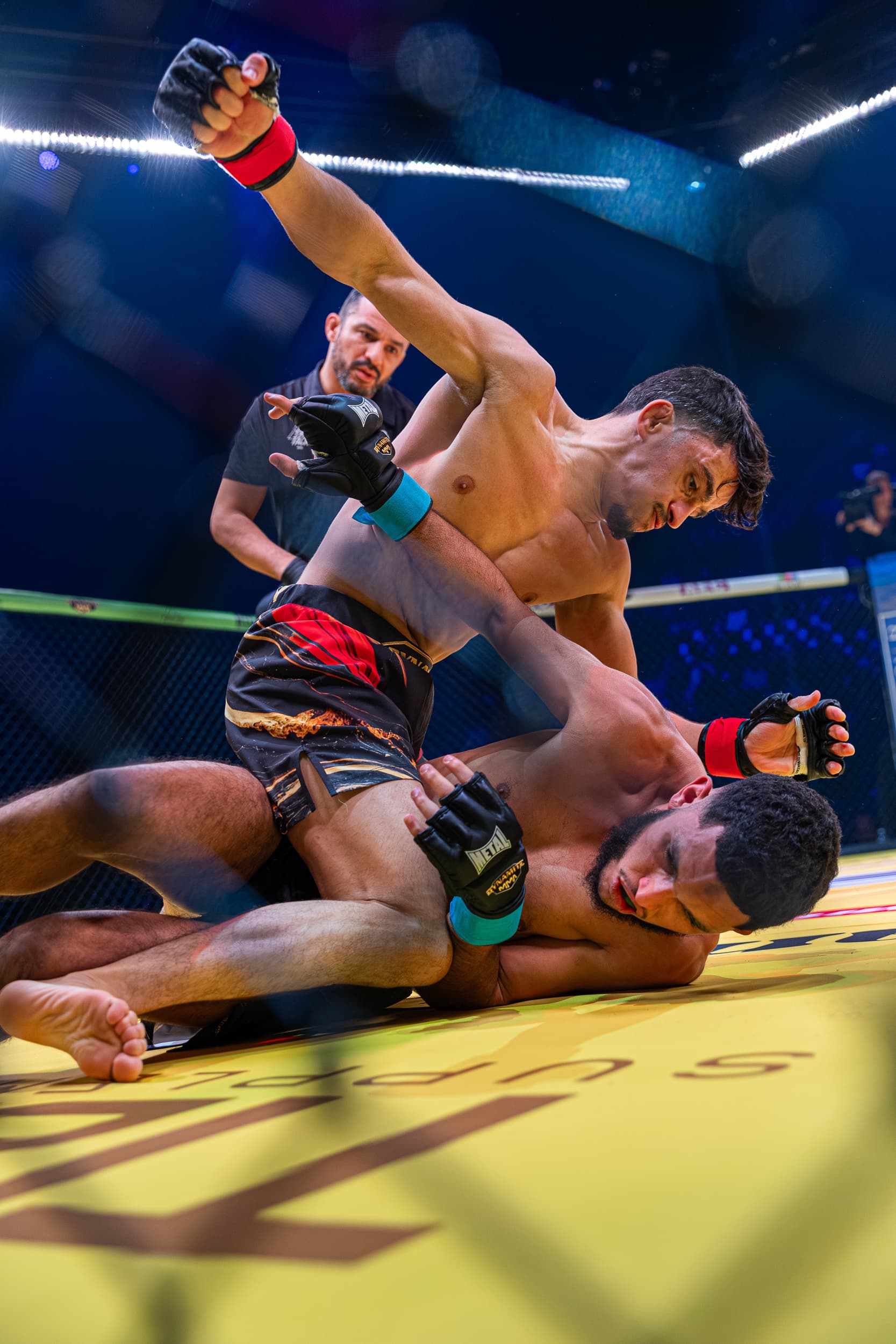 photographie sport mma dynamite mma IV arena sud de franc Montpellier Qapture