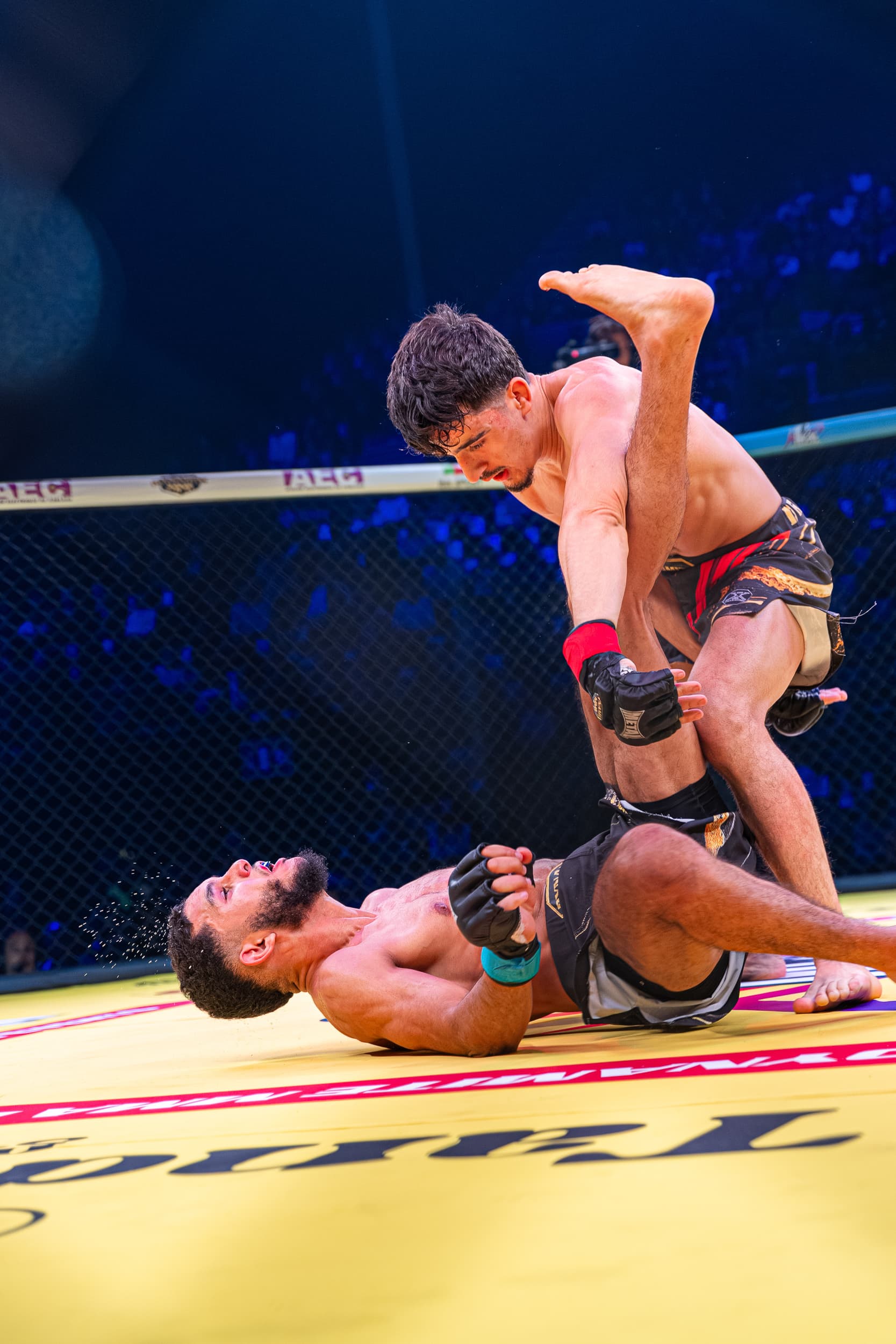 photographie sport mma dynamite mma IV arena sud de franc Montpellier Qapture