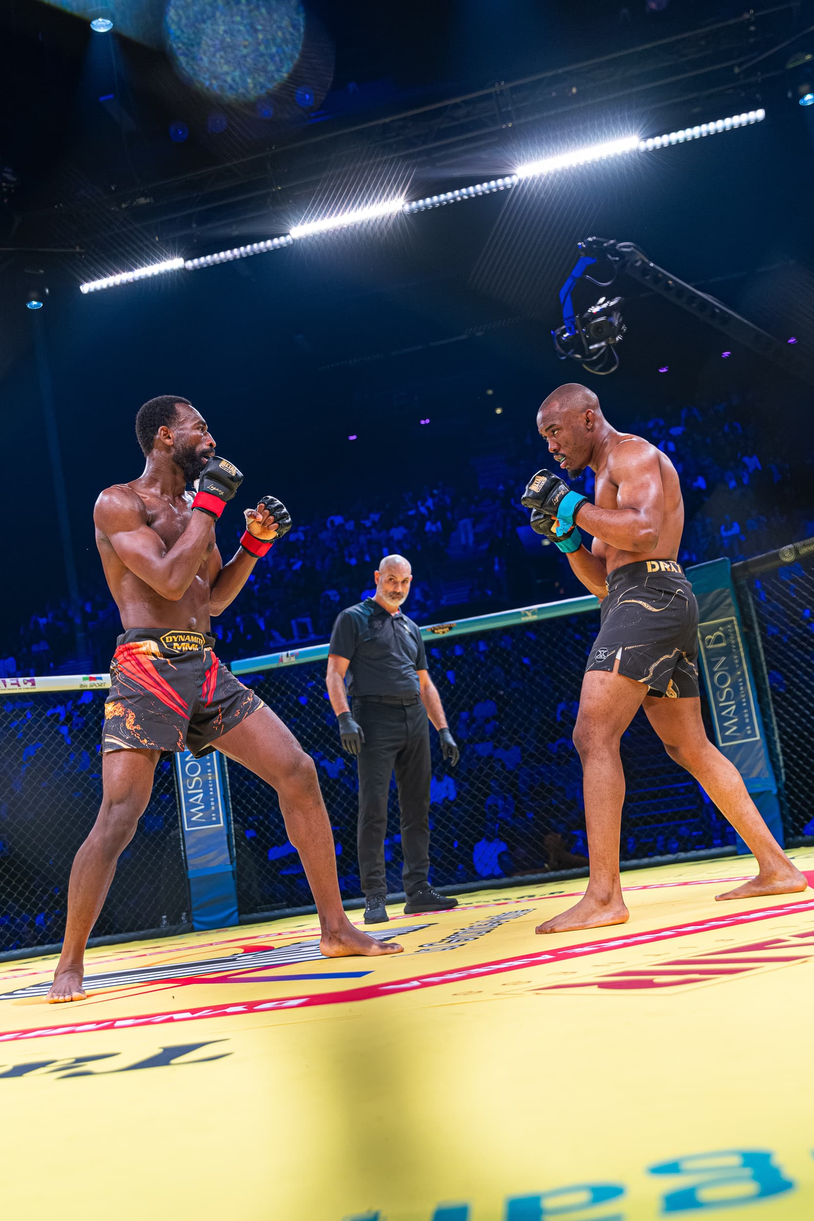 photographie sport mma dynamite mma IV arena sud de franc Montpellier Qapture