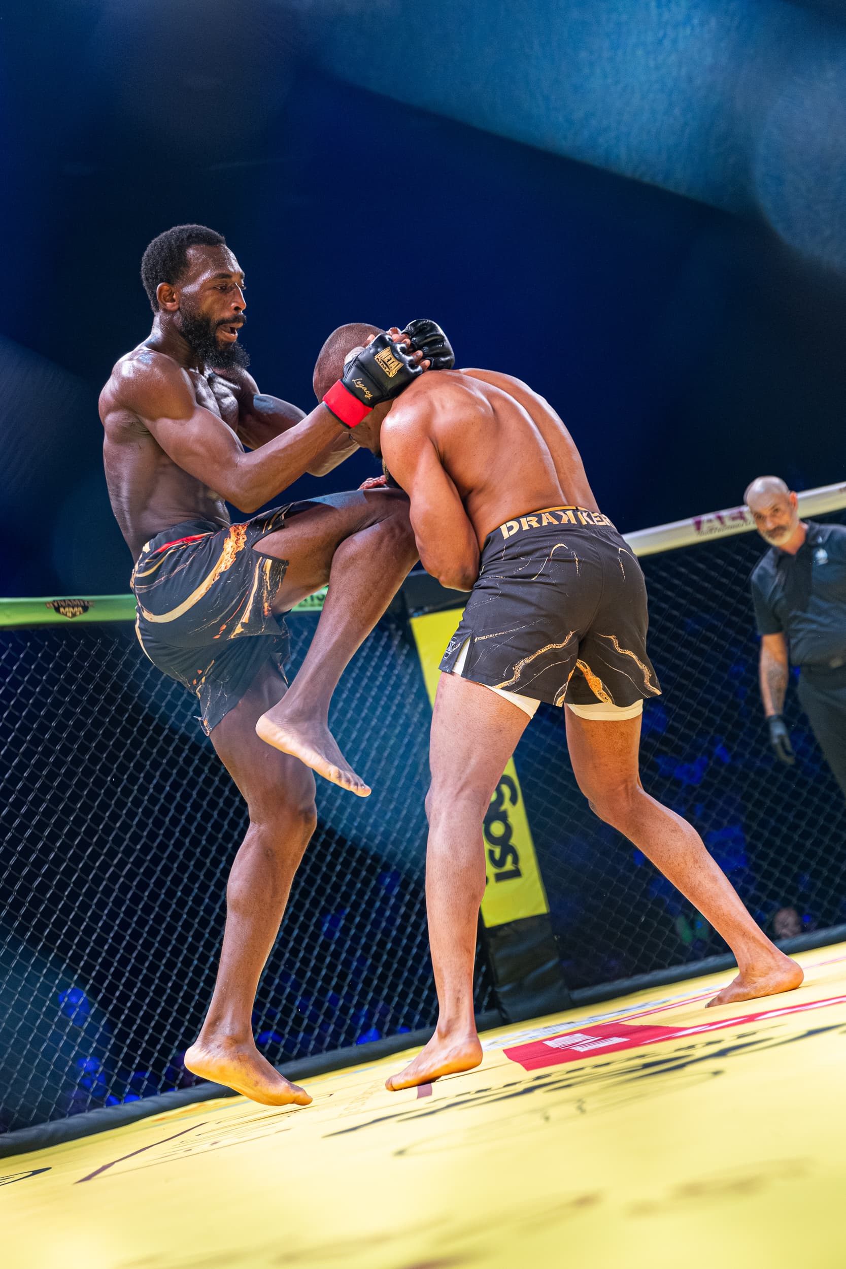 photographie sport mma dynamite mma IV arena sud de franc Montpellier Qapture