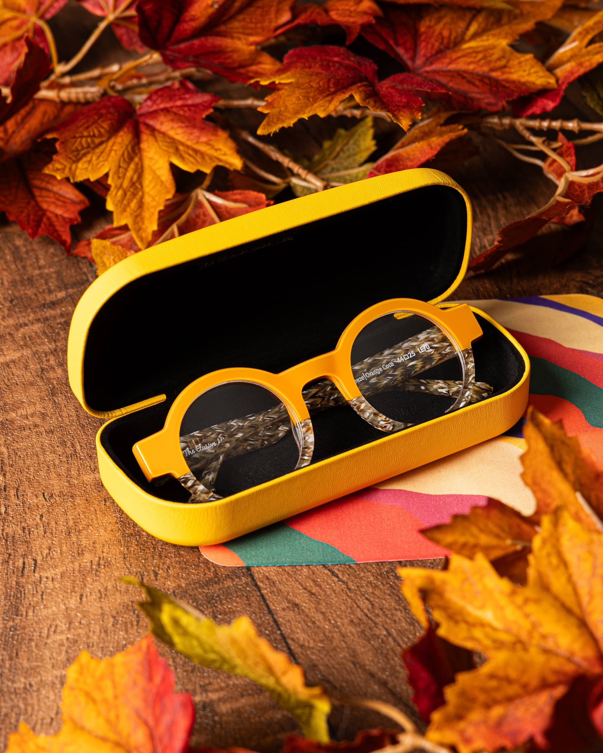 photographie de produit mise en scène lunettes de vue optic2000 Carcassonne Qapture The Elusive Miss Lou