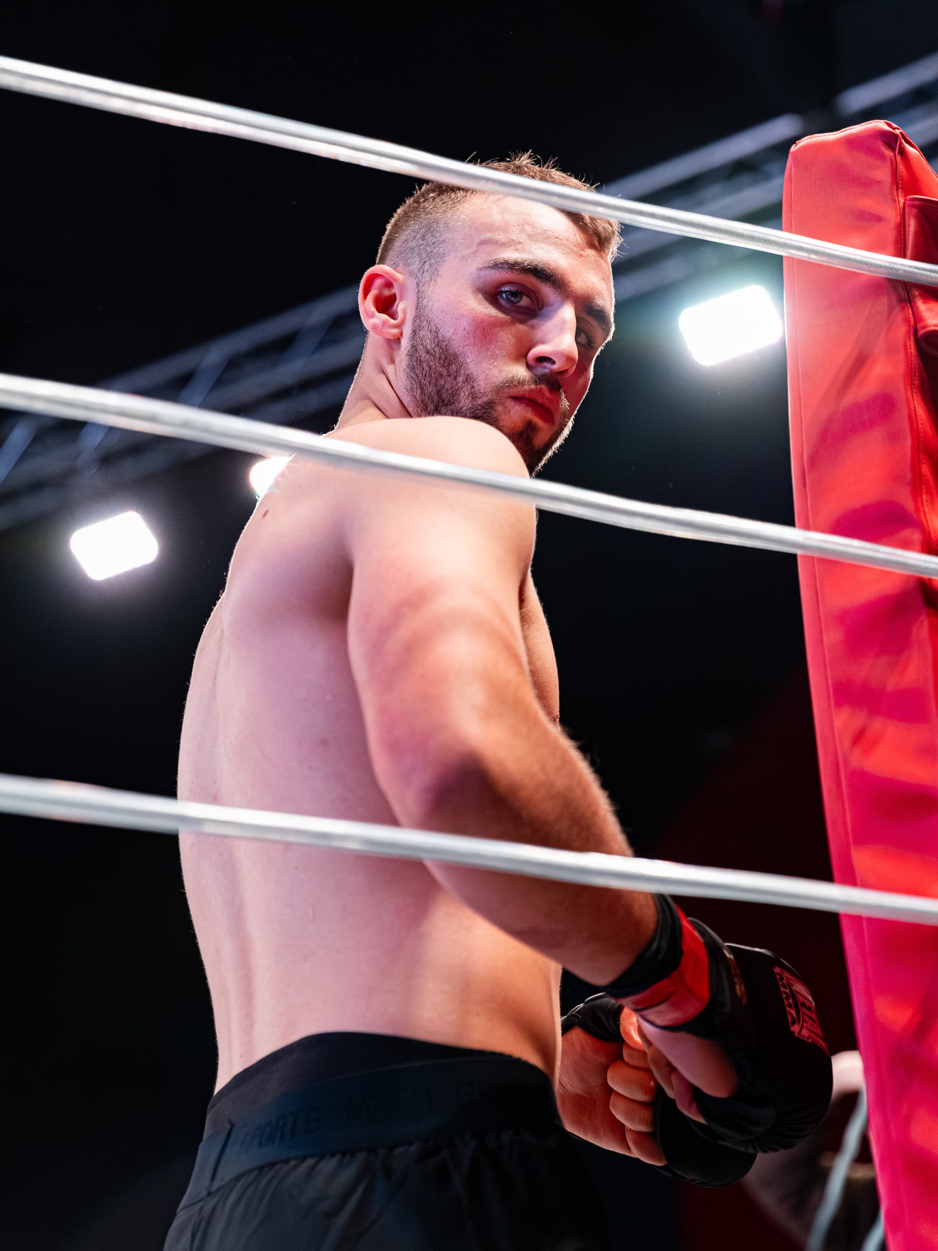 photographie sport mma combat Limoux Golden Belts Qapture