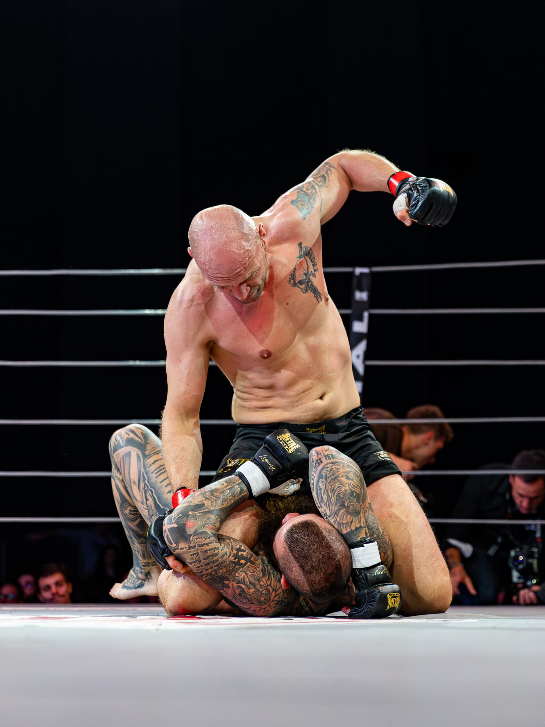 photographie sport mma combat Limoux Golden Belts Qapture